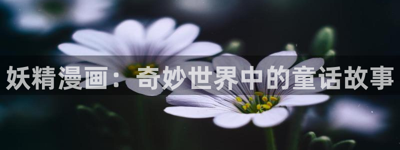 香蕉文化动画漫画：妖精漫画：奇妙世界中的童话故事