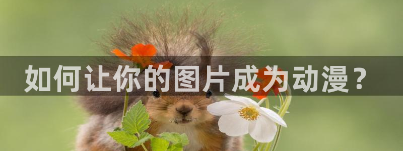 香蕉文化漫画漫画免费版：如何让你的图片成为动漫？