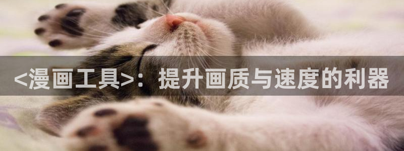 91香蕉影院：<漫画工具>：提升画质与速度的利器