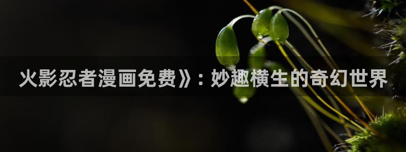 香蕉小说漫画下拉更新：火影忍者漫画免费》: 妙趣横生的奇幻世界