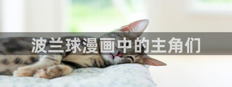 香蕉文化—漫画小说更新快内容：波兰球漫画中的主角们