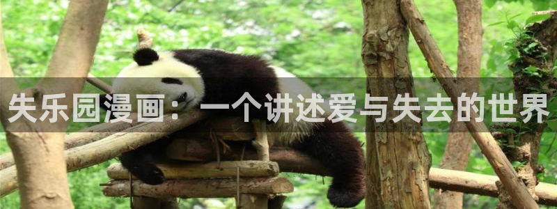 香蕉文化漫画书免费阅读平台下拉式：失乐园漫画：一个讲述爱与失去的世界